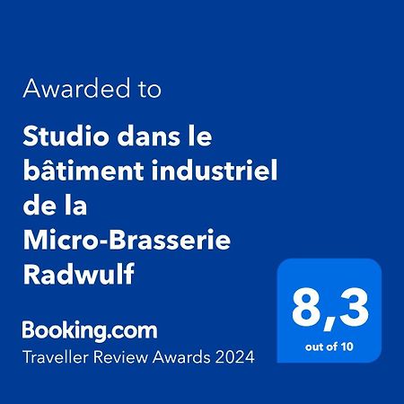 Studio Dans Le Batiment Industriel De La Micro-Brasserie Radwulf Apartment Vieux-Ferrette Exterior photo